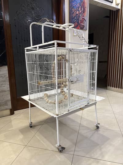 CAGE for sale