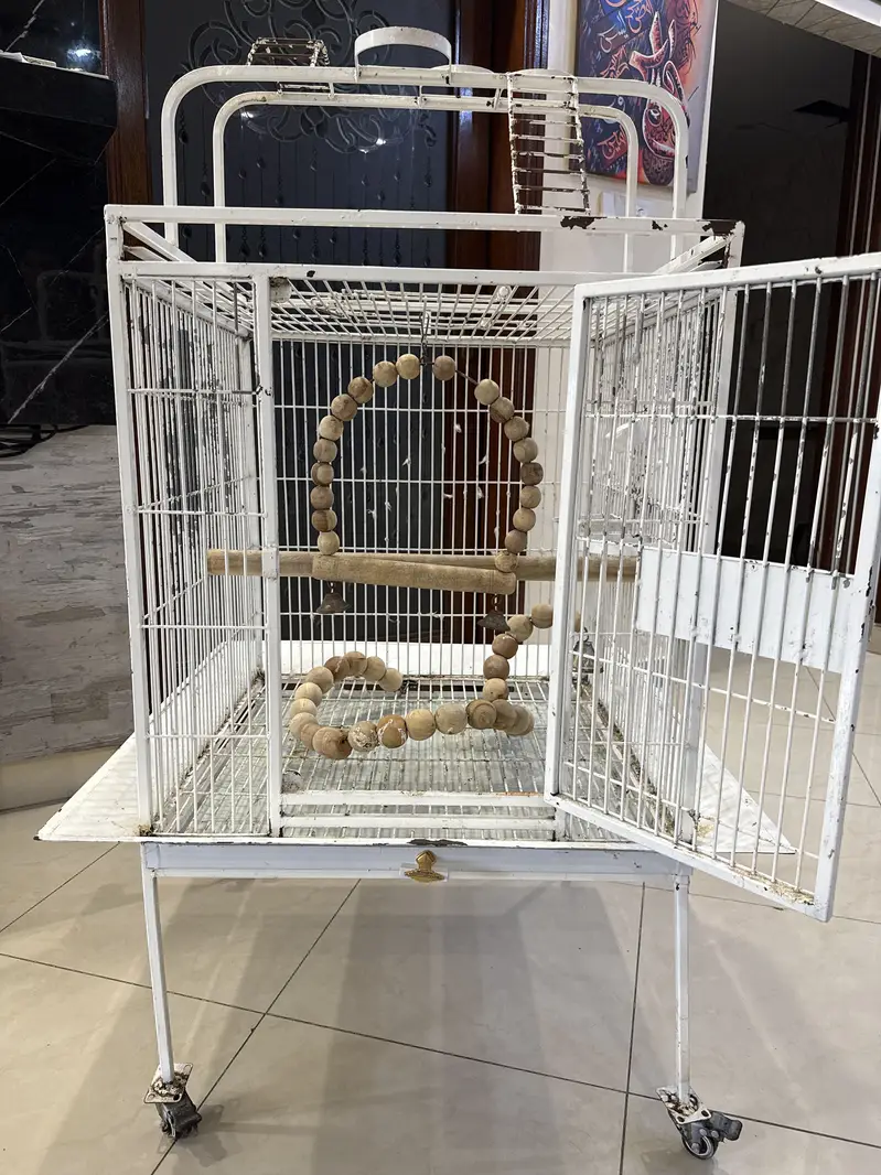 CAGE for sale — photo 2