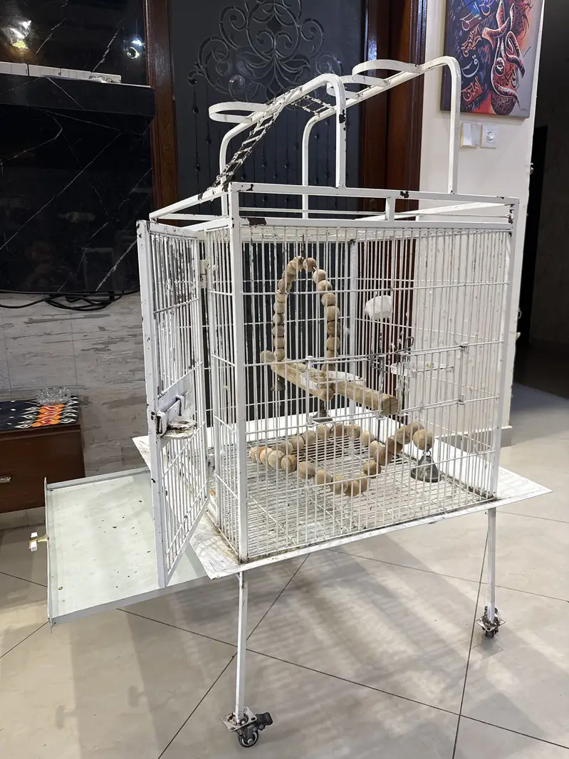 CAGE for sale — photo 3