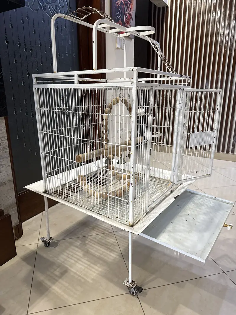 CAGE for sale — photo 4
