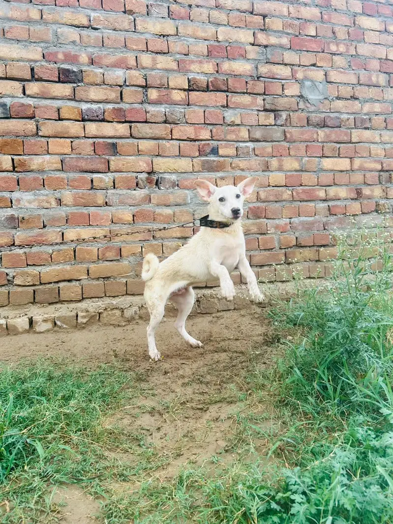 jiss bhi na  Lana wo rbta kra — photo 2