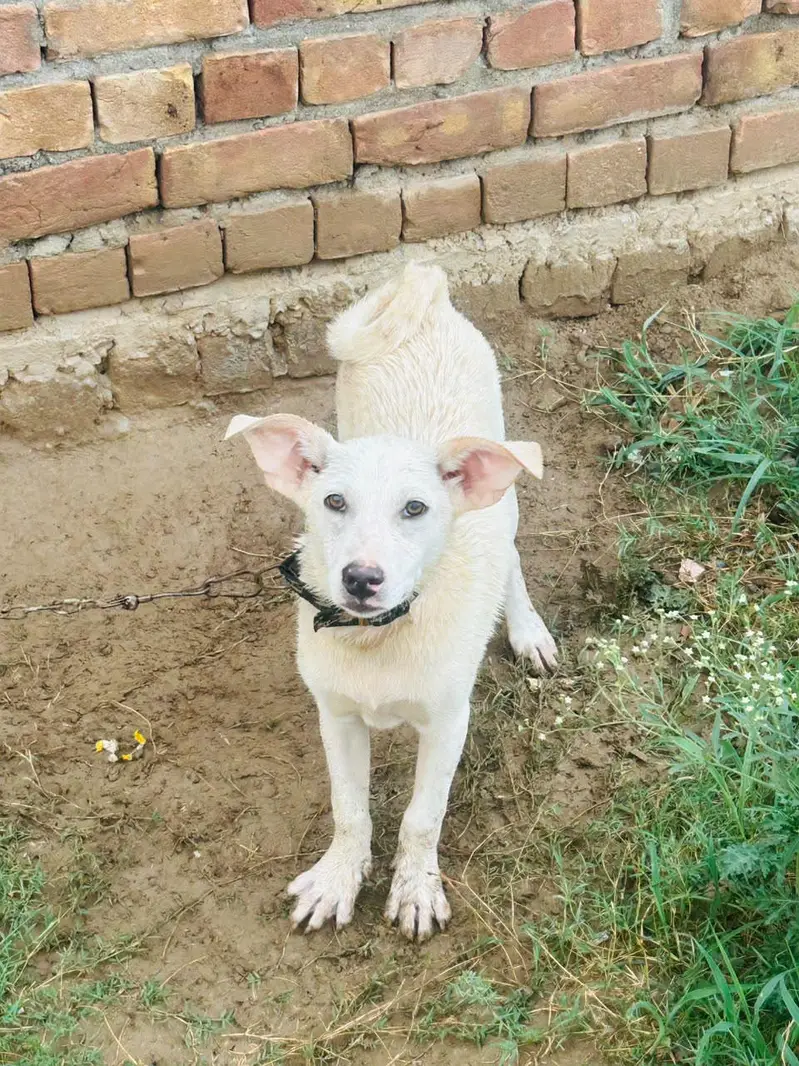jiss bhi na  Lana wo rbta kra — photo 3