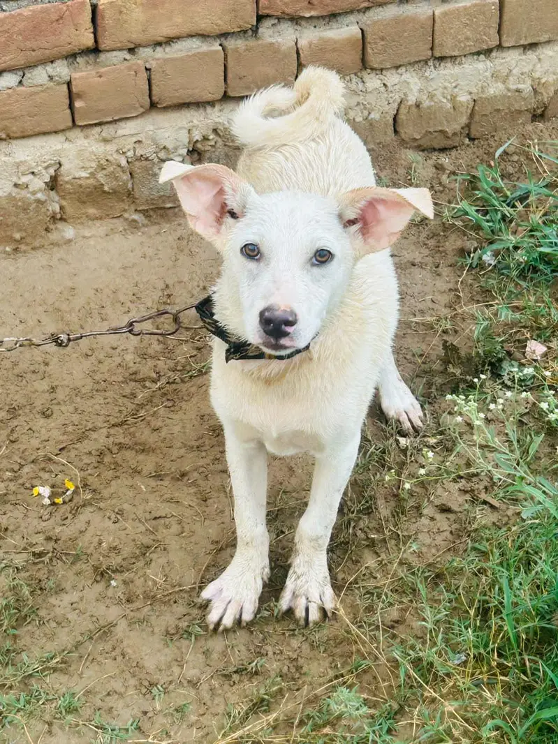 jiss bhi na  Lana wo rbta kra — photo 4
