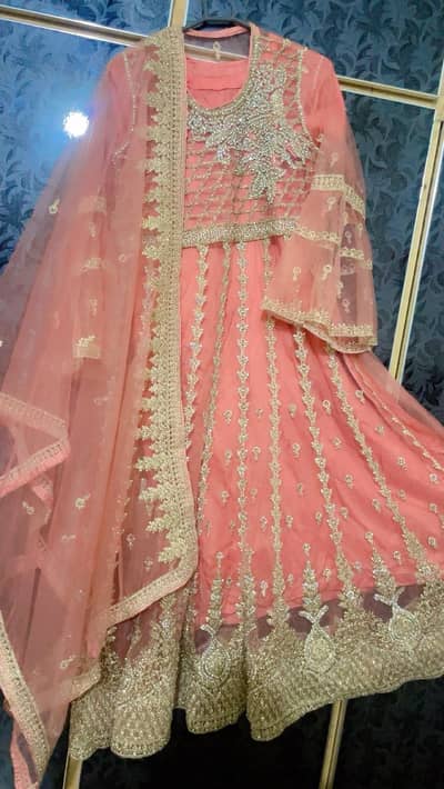 walima maxci
