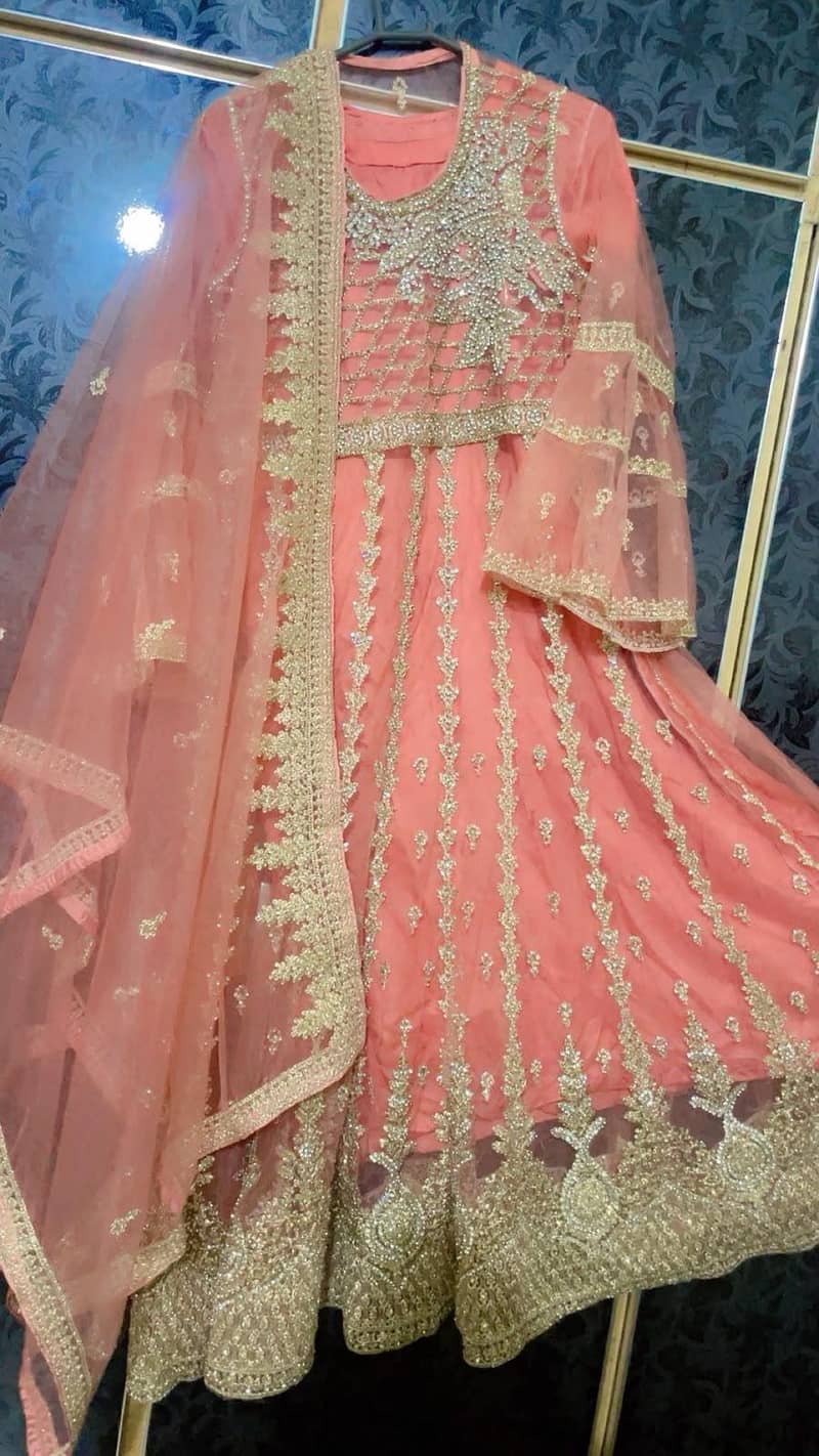 walima maxci 0