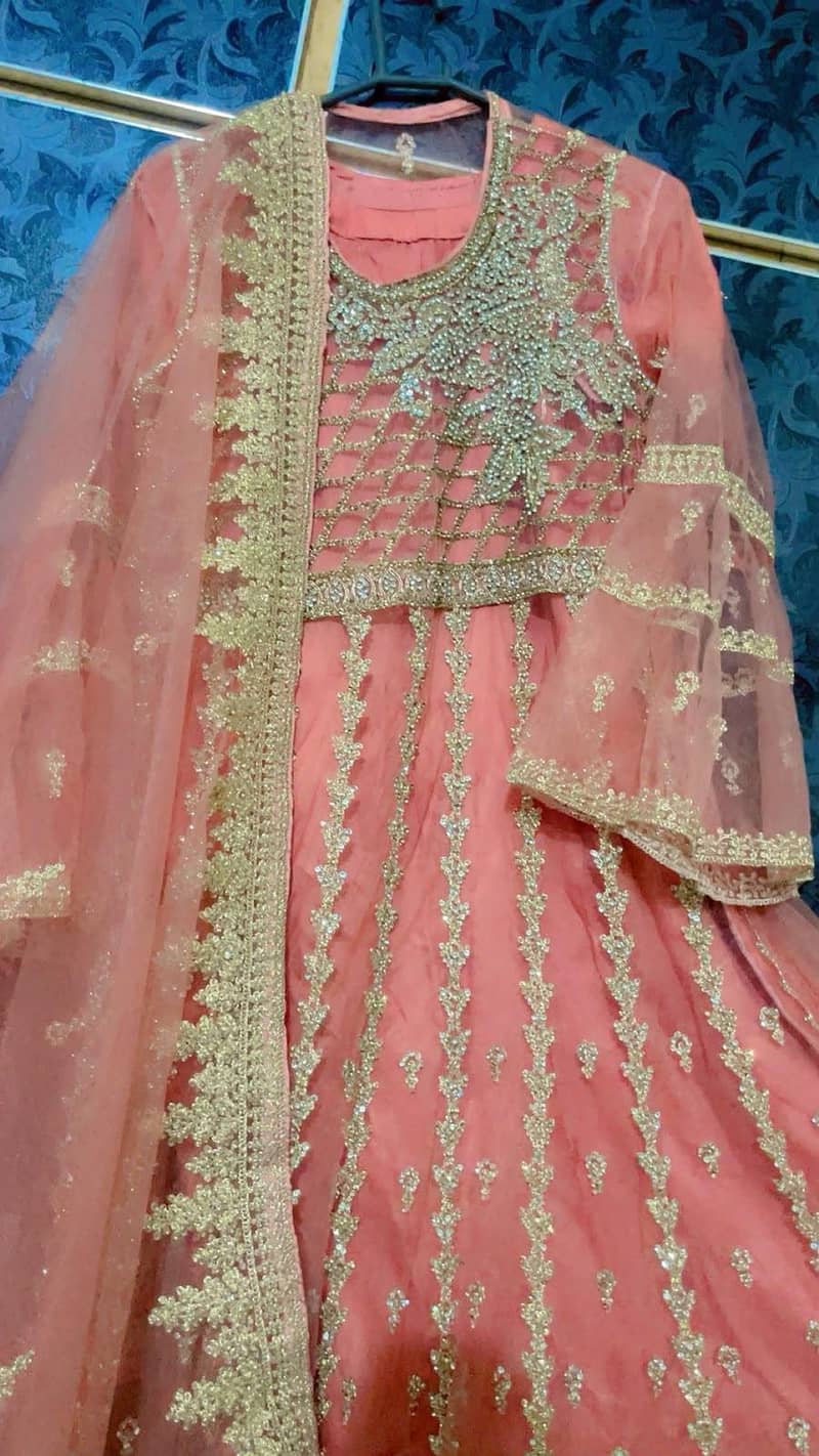 walima maxci 1