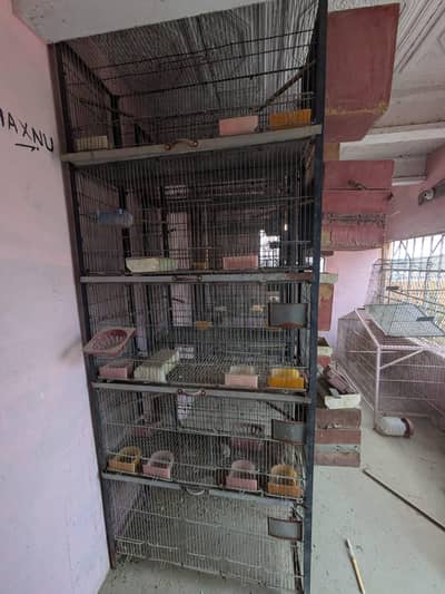 5 portion cages