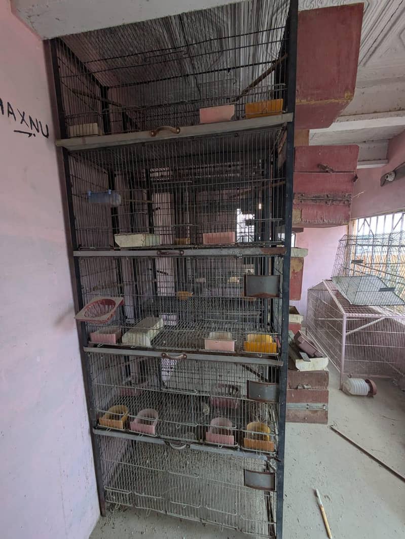 5 portion cages 0