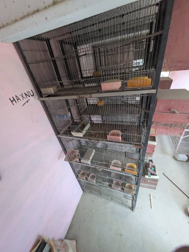 5 portion cages 1