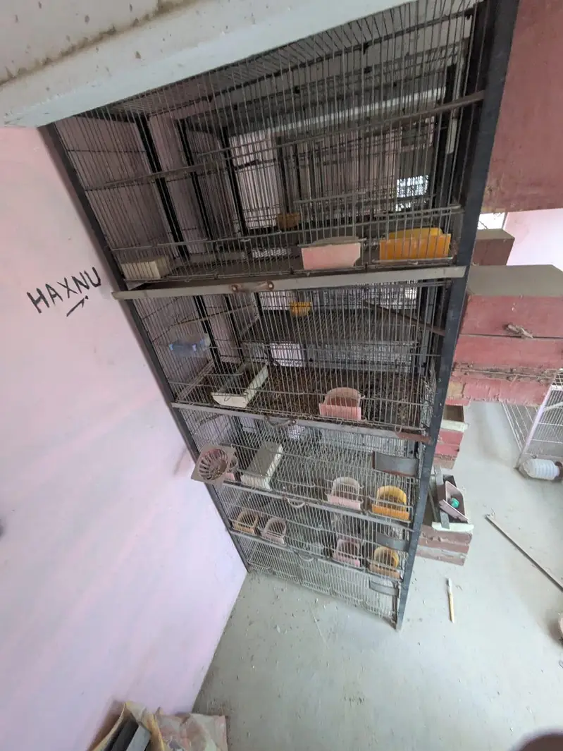 5 portion cages — photo 2