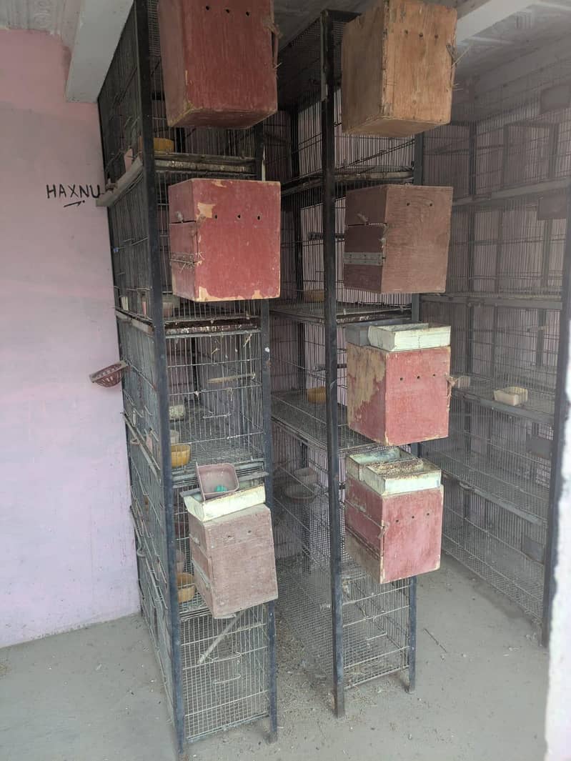 5 portion cages 2