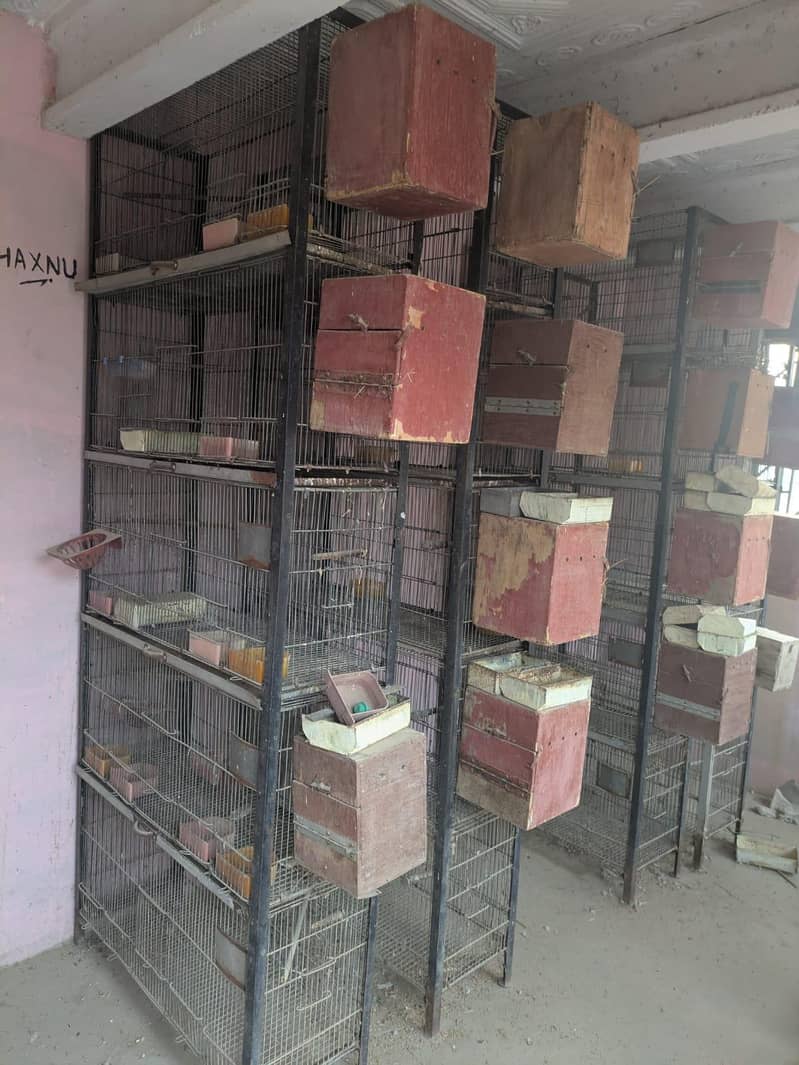 5 portion cages 3