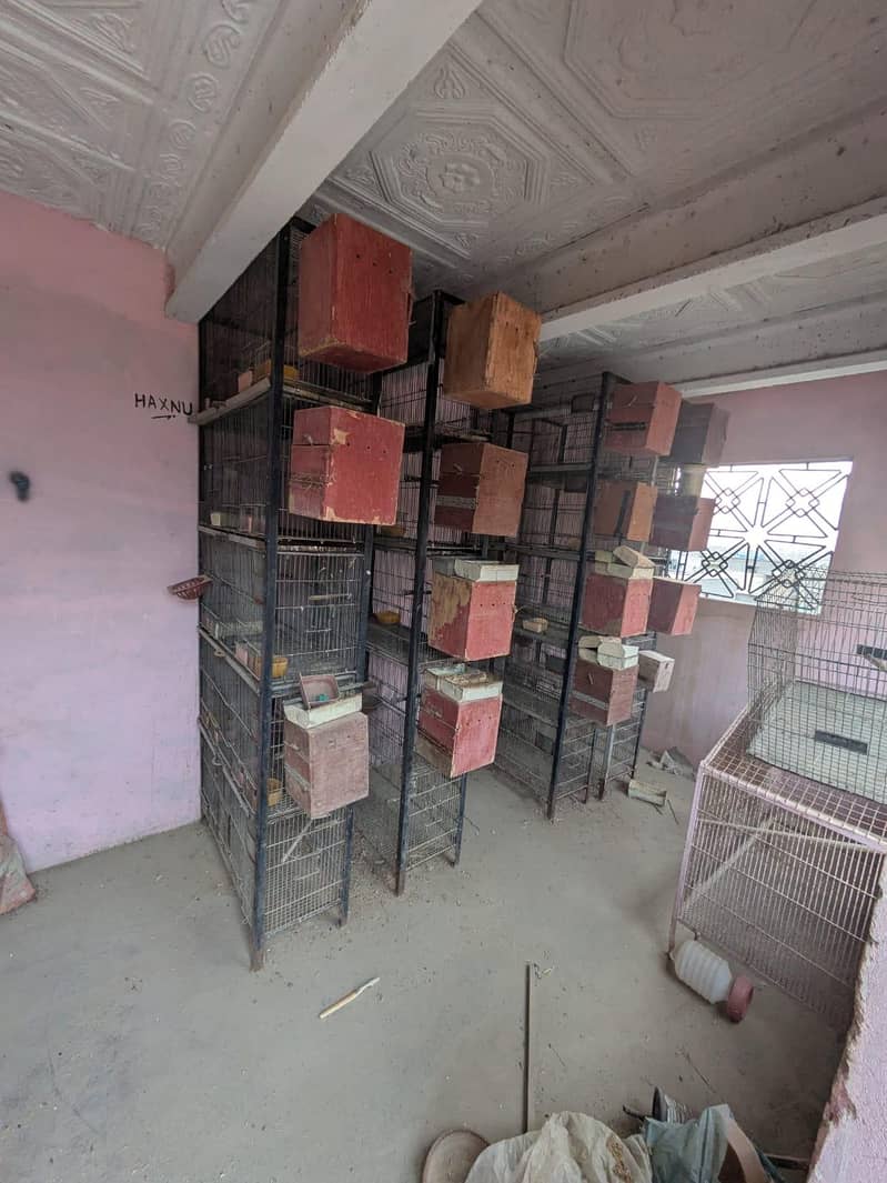5 portion cages 4