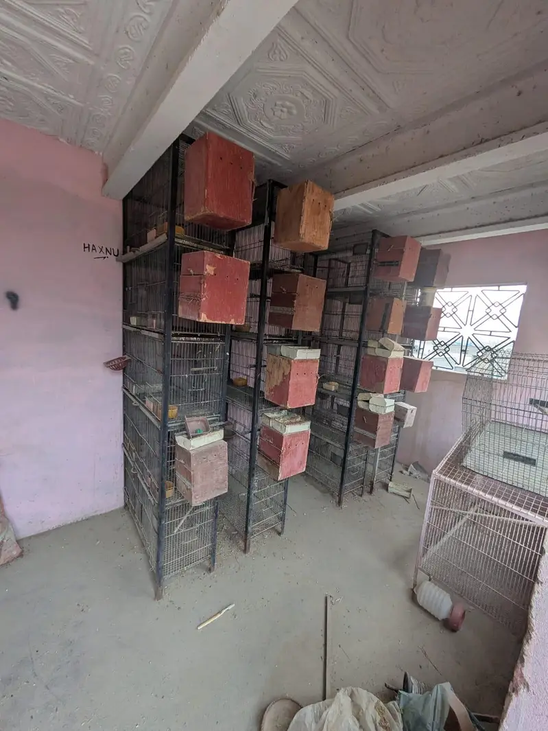 5 portion cages — photo 5