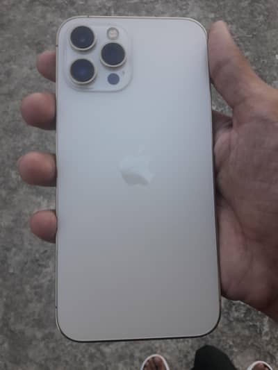 Apple iPhone 12 Pro Max