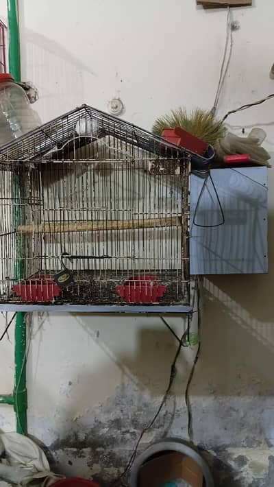 cage with box