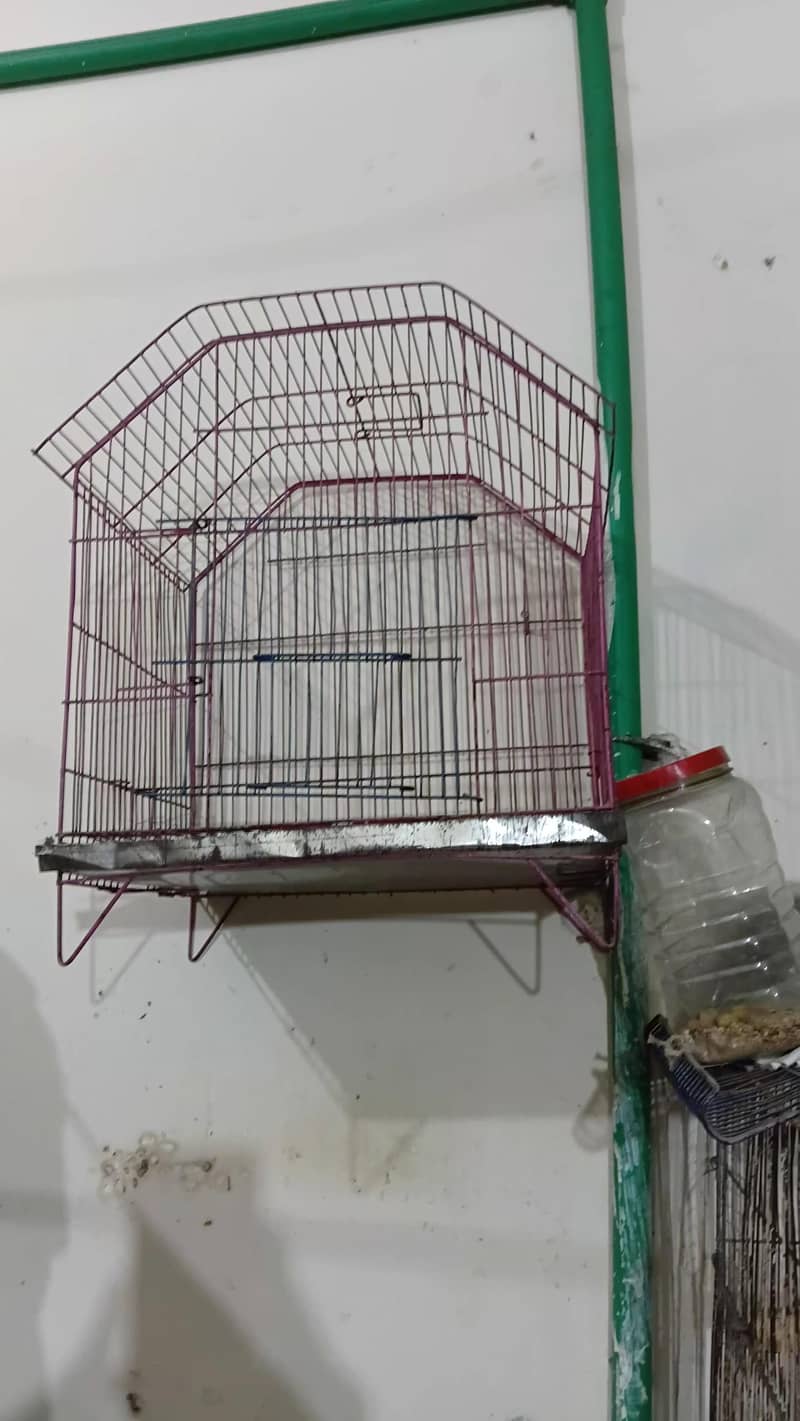 cage with box 1