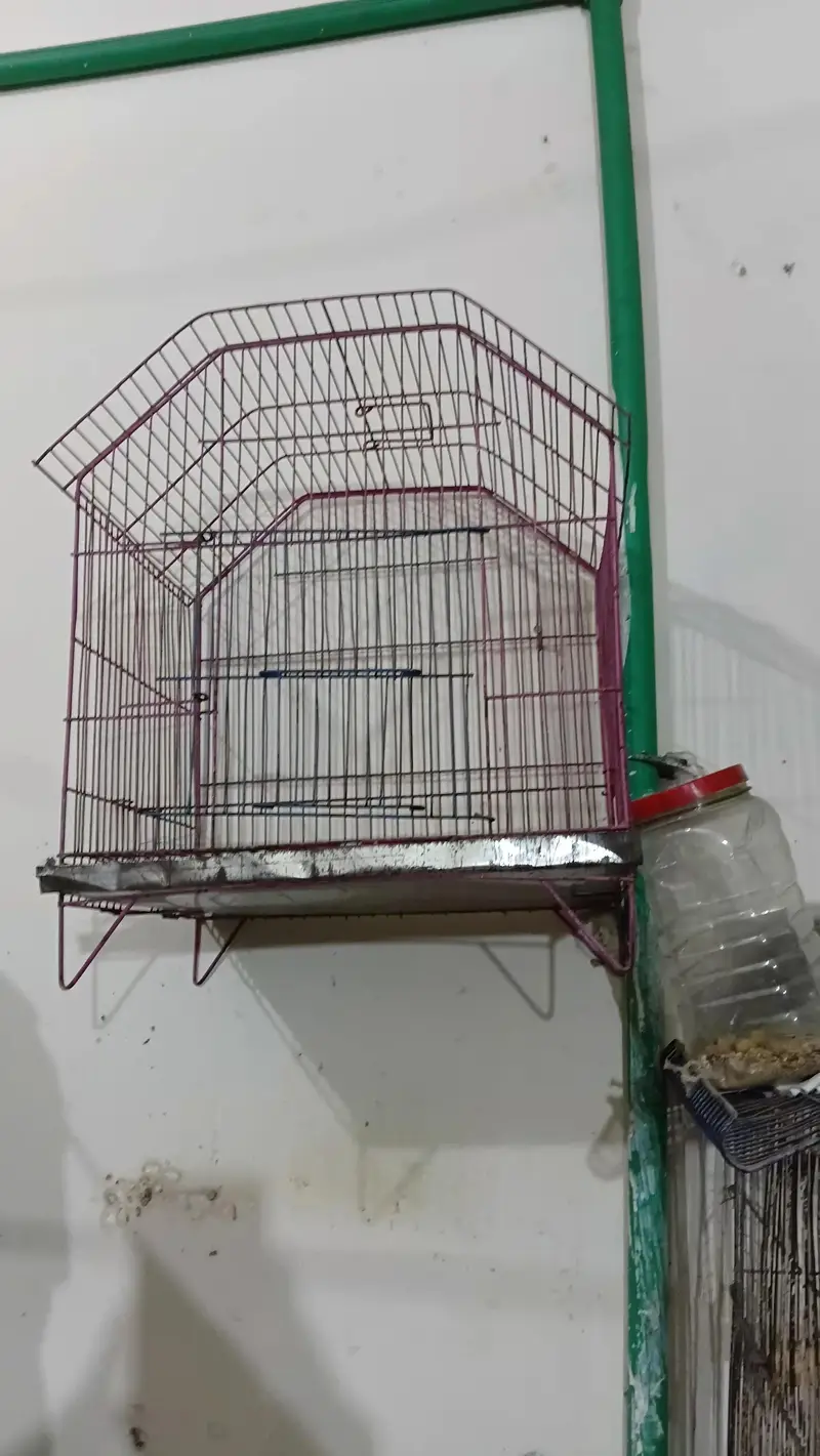 cage with box — photo 2