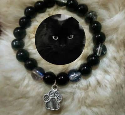 cute kitten charm bracelet