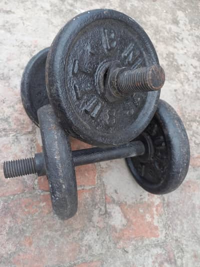 Gym Dumbal