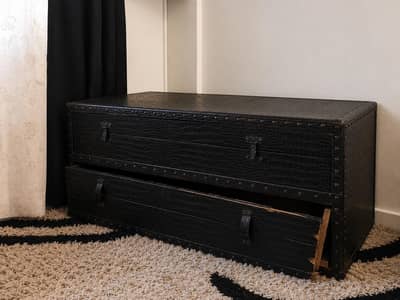 Storage Trunk