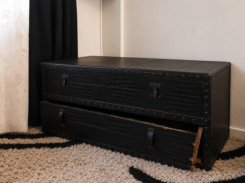 Storage Trunk 0
