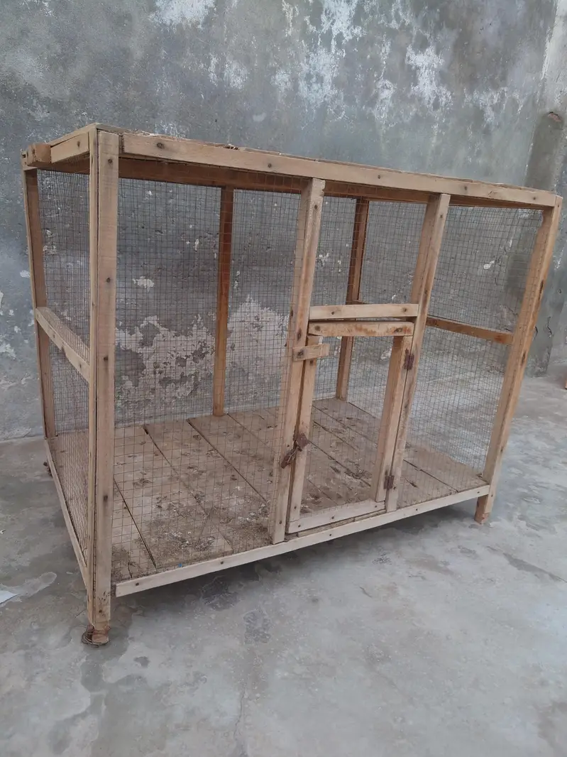 hen cage or tokra — photo 2