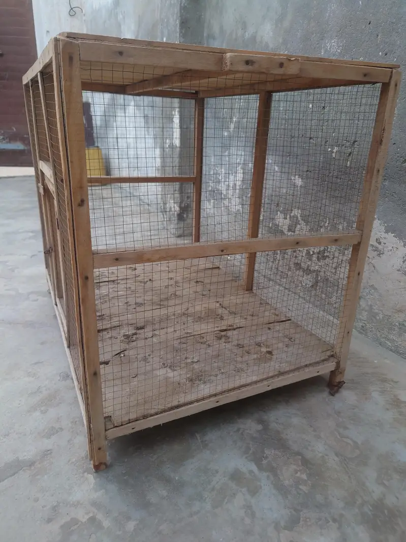 hen cage or tokra — photo 3