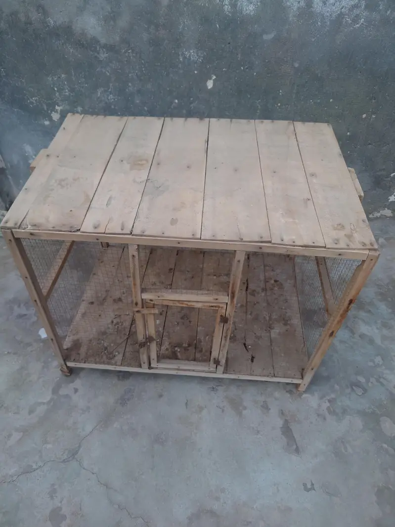 hen cage or tokra — photo 4
