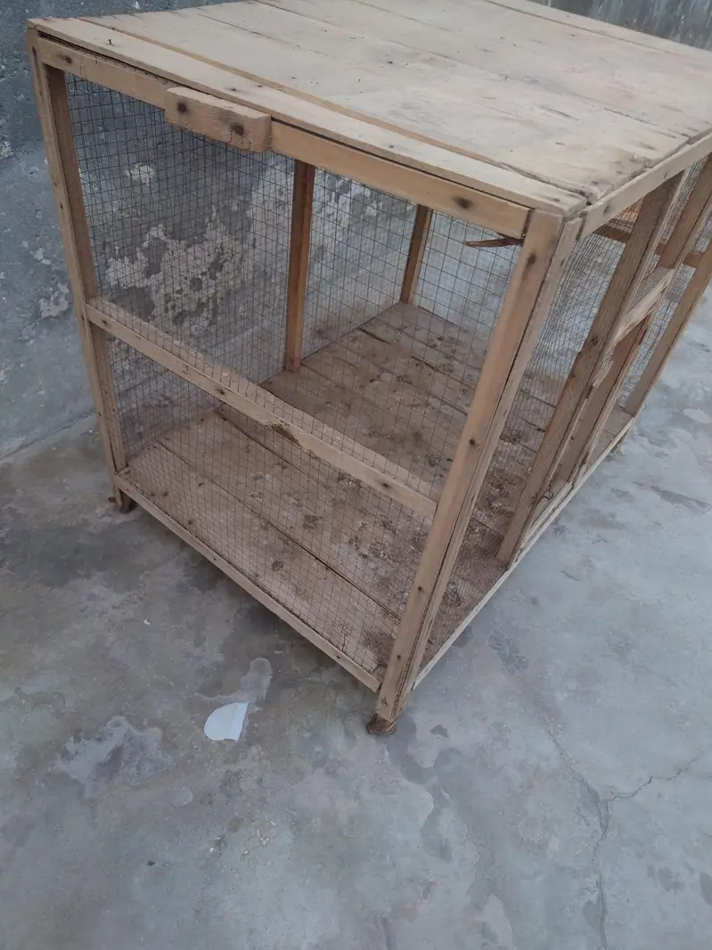 hen cage or tokra — photo 5