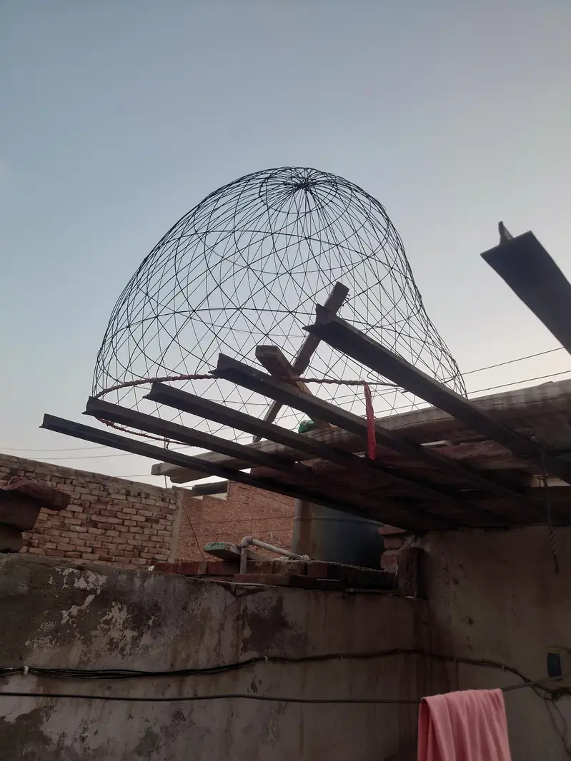 hen cage or tokra — photo 6