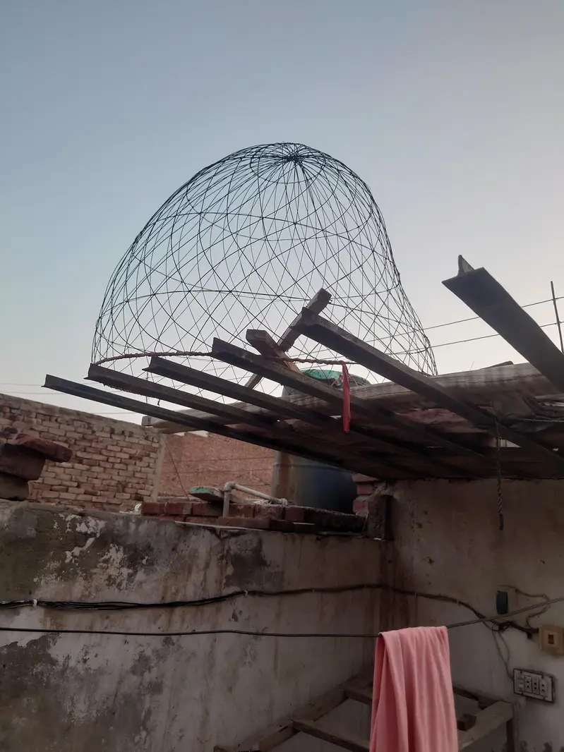 hen cage or tokra — photo 7