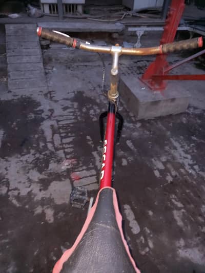 Bicycle