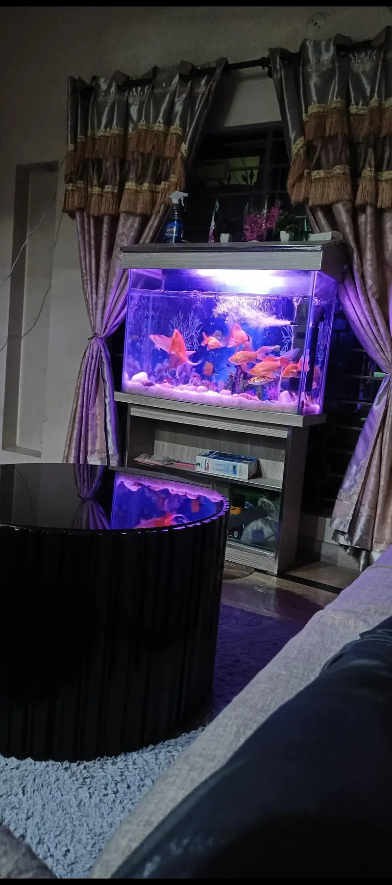 Fish  aqrium Bht Payara