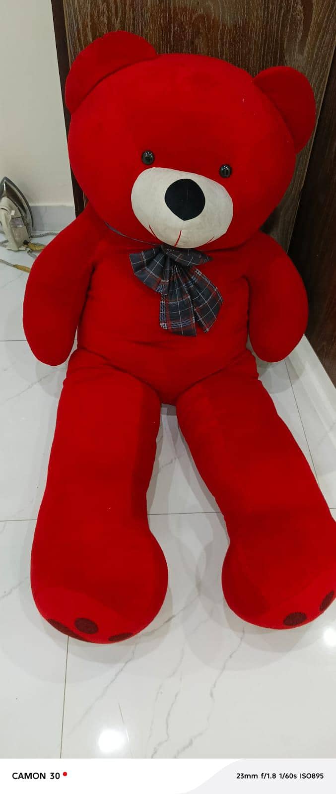 teddy bear condition 10/10 0