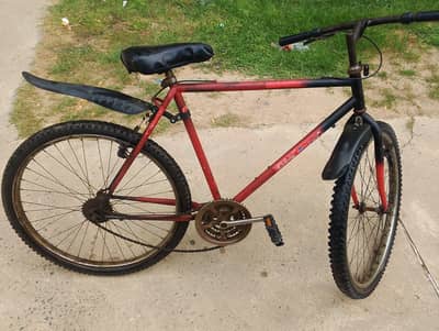 PHOENIX Bicycle