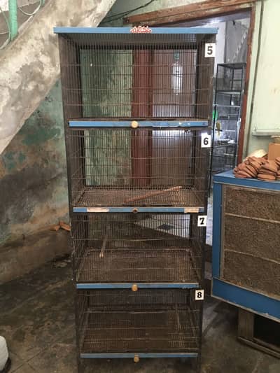 Cage 4 portions
