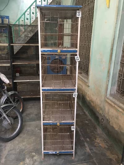 Cage 4 portions