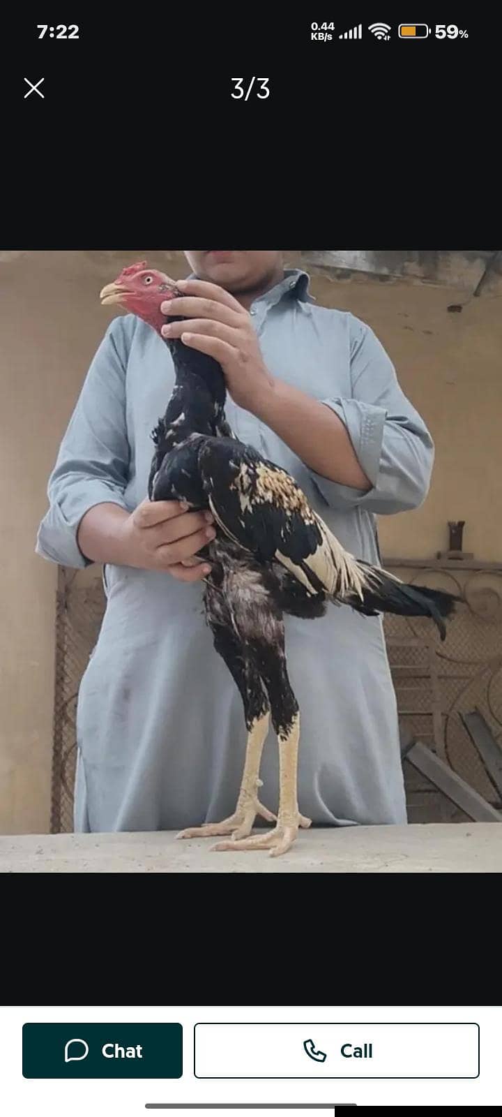 full High Quality java male-----03034859809 4