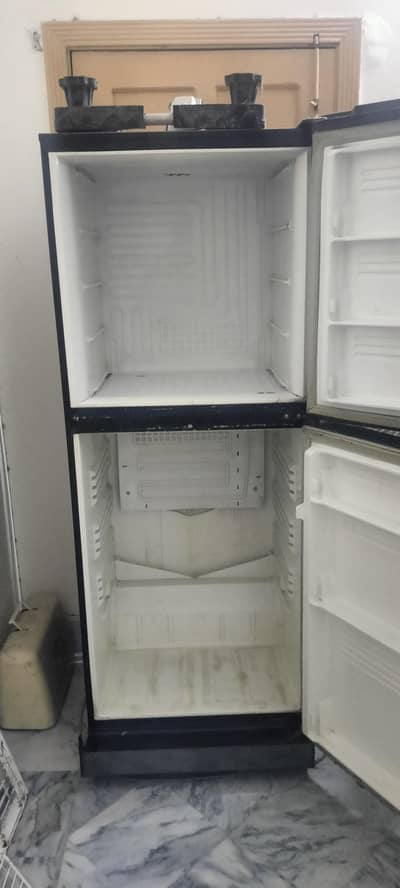 pel fridge for sale