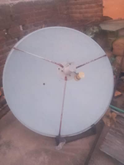 dish for sale num 03115007890