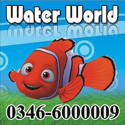 WaterWorld Fish Aquariums