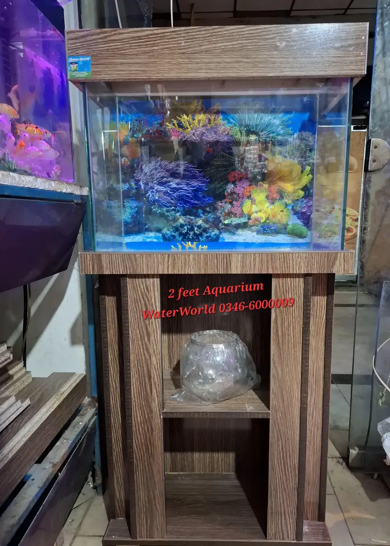 WaterWorld Fish Aquariums — photo 3