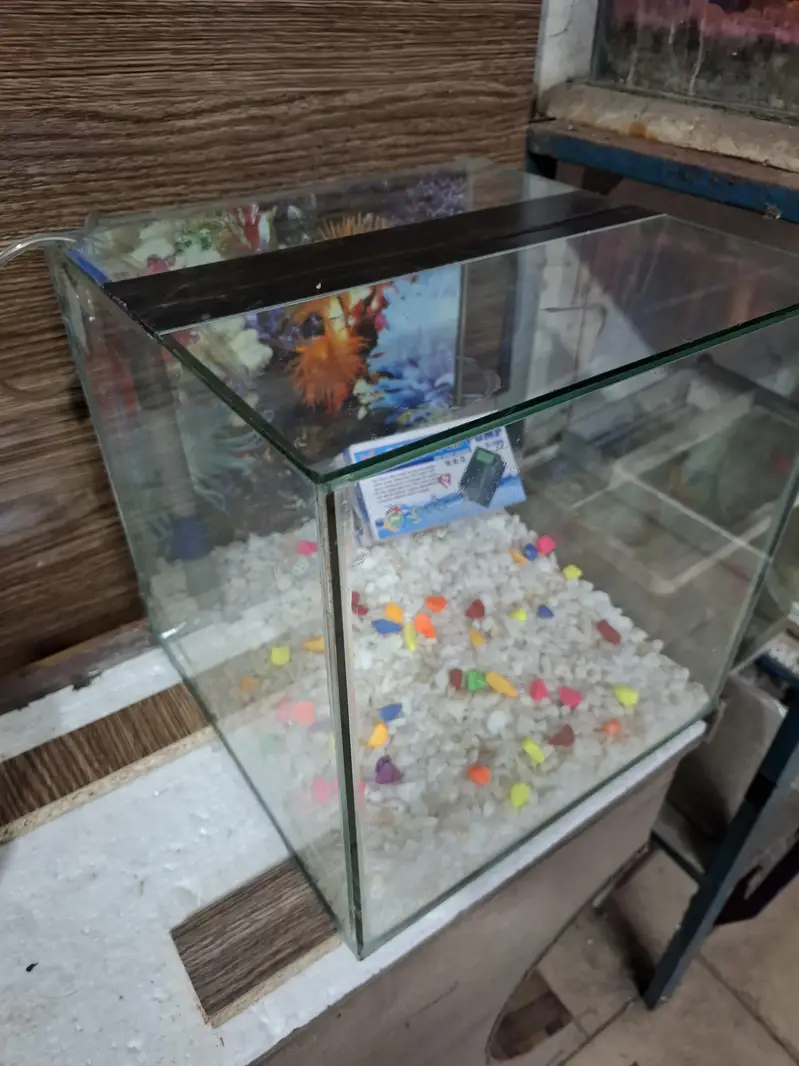 WaterWorld Fish Aquariums — photo 6