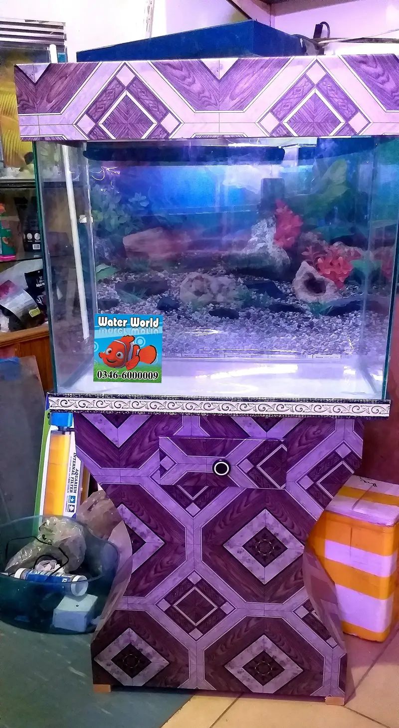 WaterWorld Fish Aquariums — photo 8