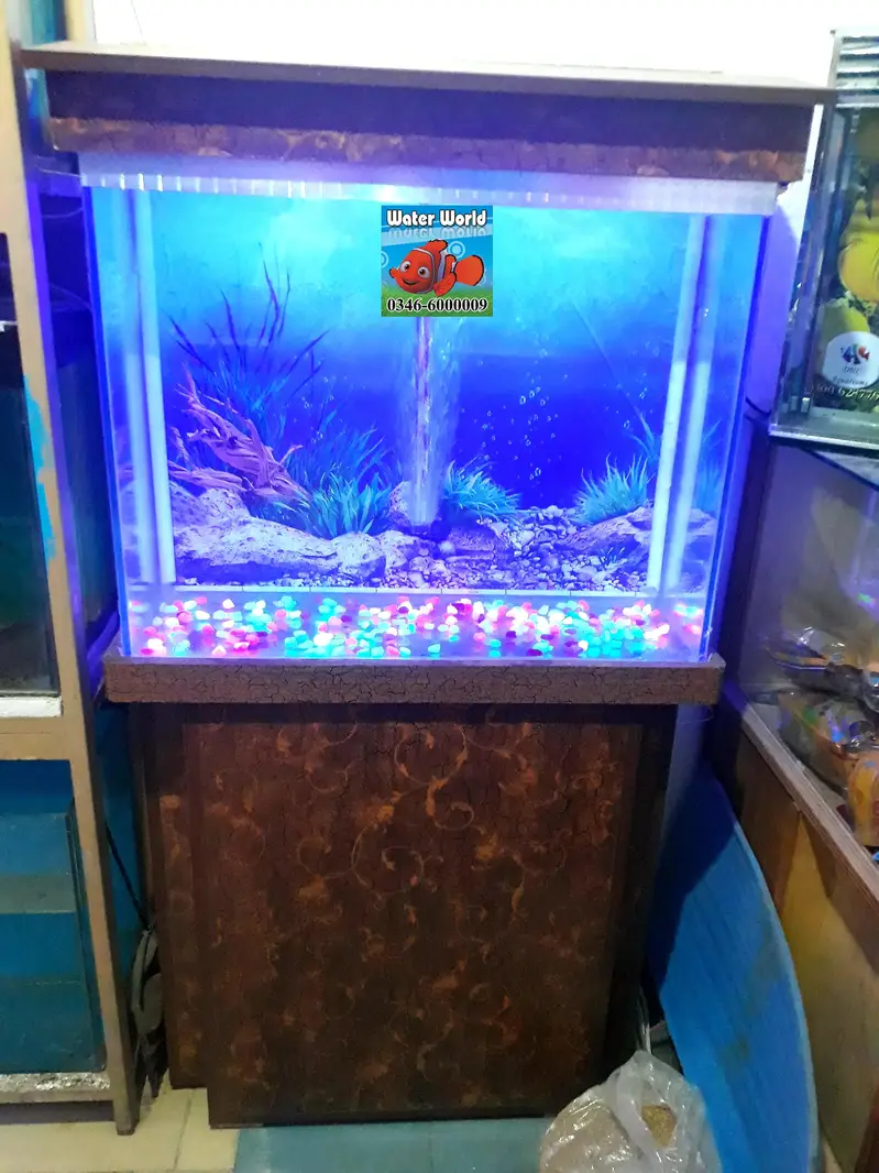 WaterWorld Fish Aquariums — photo 10