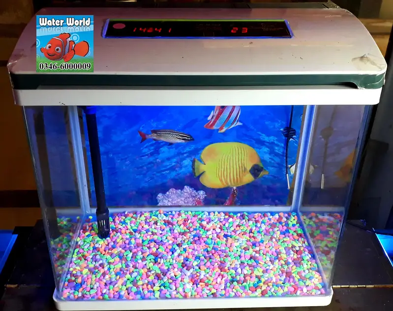 WaterWorld Fish Aquariums — photo 11