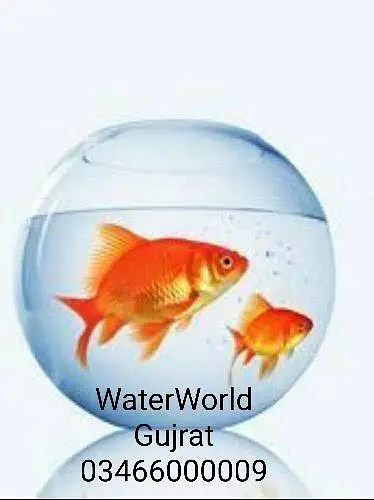 WaterWorld Fish Aquariums — photo 12