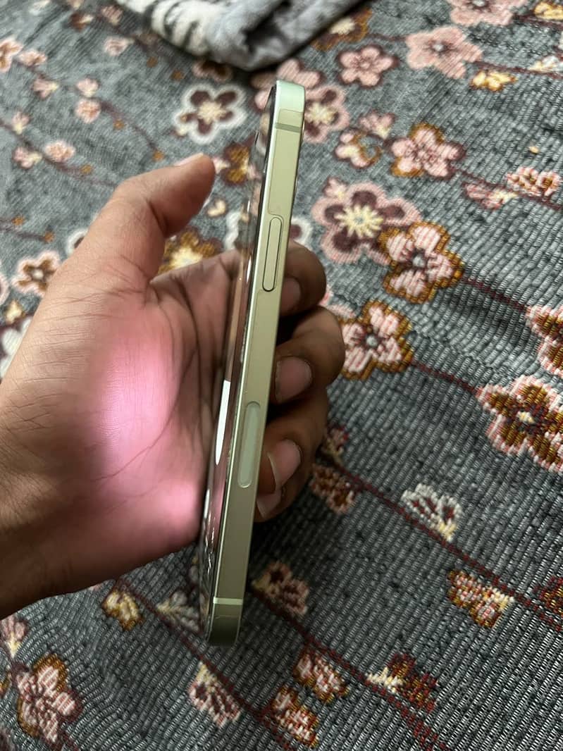 Apple iPhone 12 1