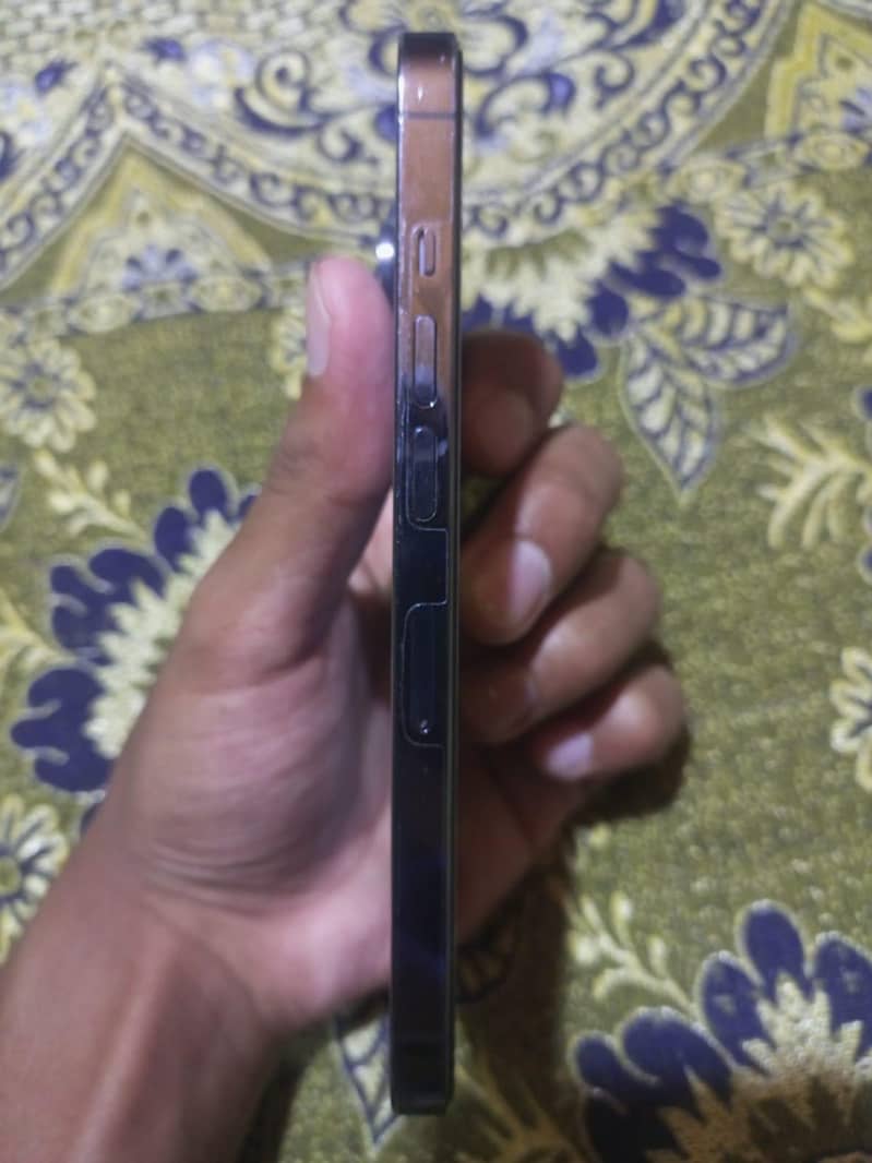 Apple iPhone 13 Pro 1